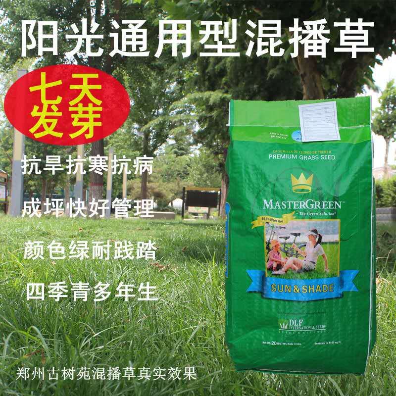 国际绚烂hui55137(中国)官网登录入口