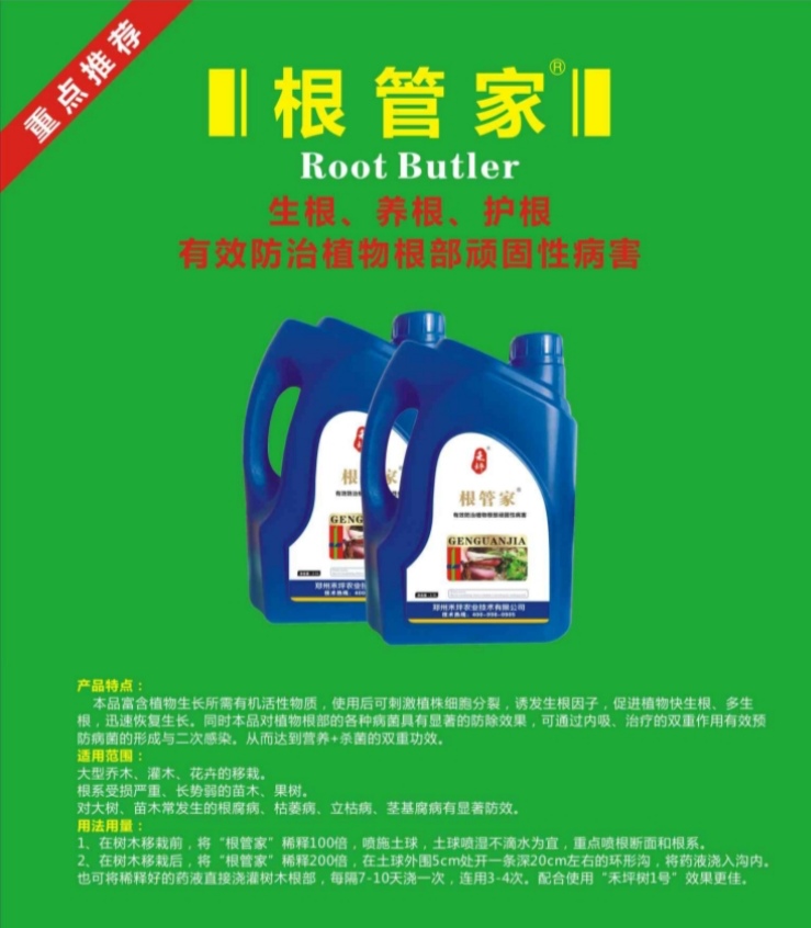 根管家