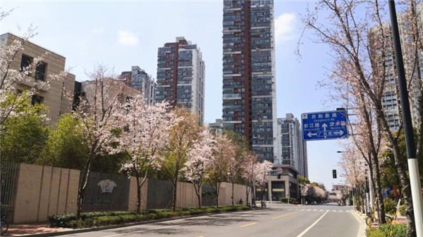 “十四五”上海公园将超千座，园林绿化行业的春天来了？